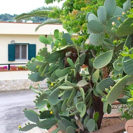 Lägenhetshotell Villaggio Turistico Defensola
